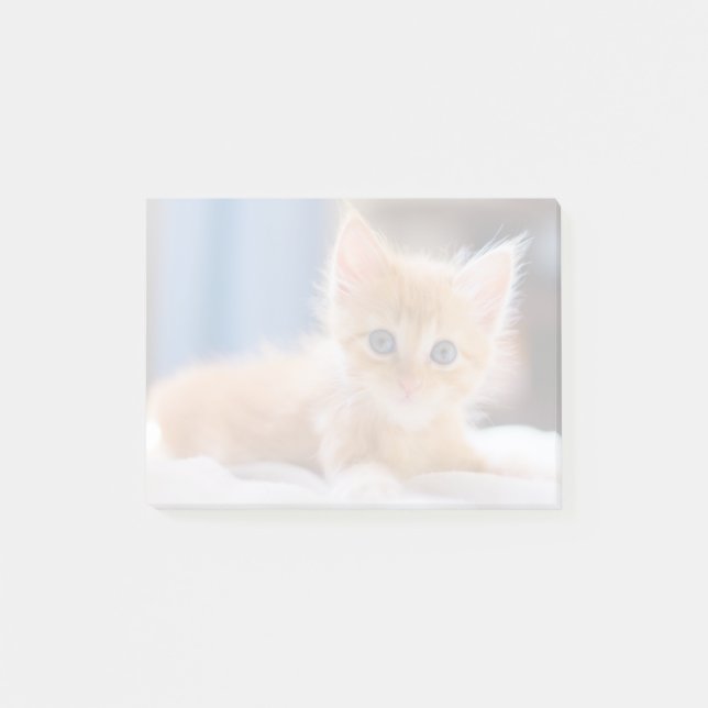 Notas Post-it® Gato lindo con los ojos azules (Anverso)
