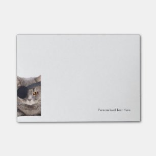 Notas Post-it® Gato pirata