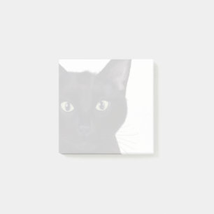 Notas Post-it® Gato, retrato de Gus