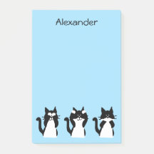 Gatos esmoquin | Tres gatitos sabios azul claro