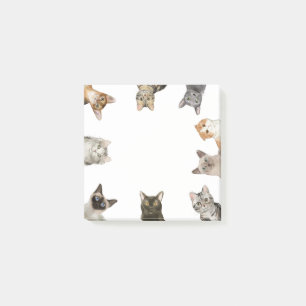 Notas Post-it® Gatos Gracioso Gato Lover
