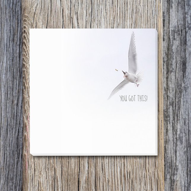 Notas Post-it® Gaviota Graciosa Que Tienes Esta Motivadora Fry Fr (Funny seagull post it note pad: "you got this!")