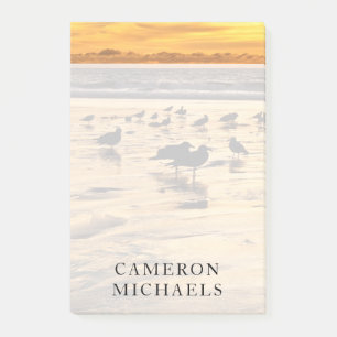 Notas Post-it® Gaviotas en la playa al atardecer