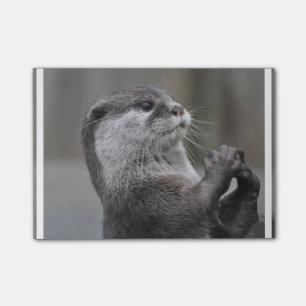 Notas Post-it® Genio de la nutria