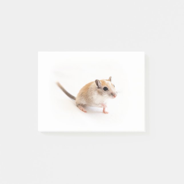 Notas Post-it® Gerbil Cute Baby Animal Mascota Gerbils Plantilla (Anverso)