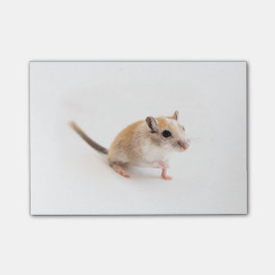 Notas Post-it® Gerbil Cute Baby Animal Mascota Gerbils Plantilla