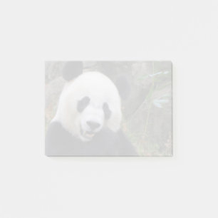 Notas Post-it® Gigante Panda Bei en el zoológico nacional