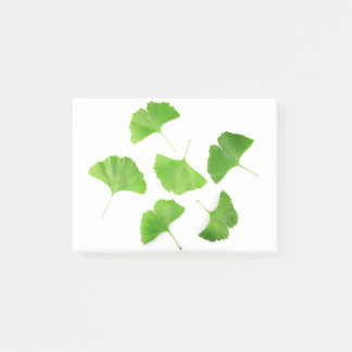 Notas Post-it® Ginkgo verde Biloba