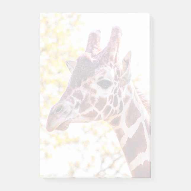 Notas Post-it® Giraffe Portrait (Anverso)