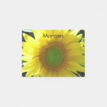 Girasol amarillo brillante