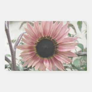 Notas Post-it® Girasol rosa pálido