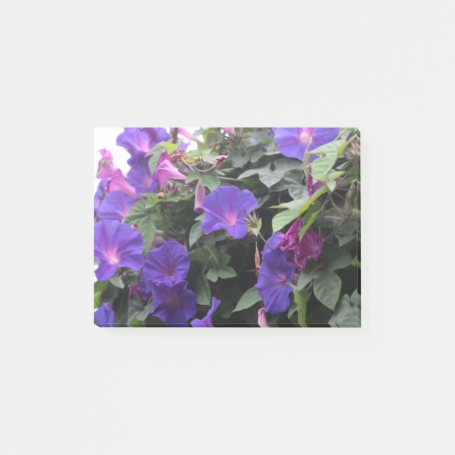 Notas Post-it® Glorias de primavera en azul (Anverso)