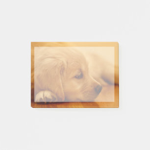 Notas Post-it® Golden Retriever Puppy