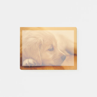 Notas Post-it® Golden Retriever Puppy