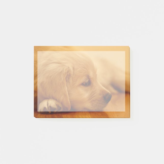 Notas Post-it® Golden Retriever Puppy (Anverso)