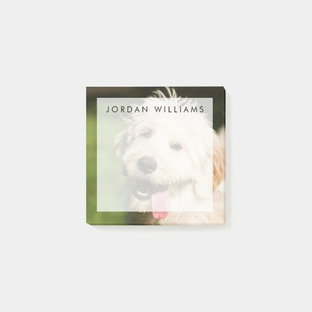 Notas Post-it® Goldendoodle (Anverso)