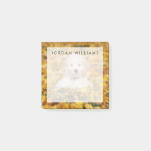Notas Post-it® Goldendoodle Cachorro En Hojas Caídas
