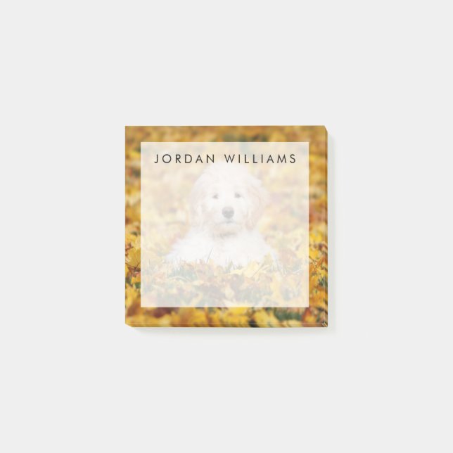 Notas Post-it® Goldendoodle Cachorro En Hojas Caídas (Anverso)