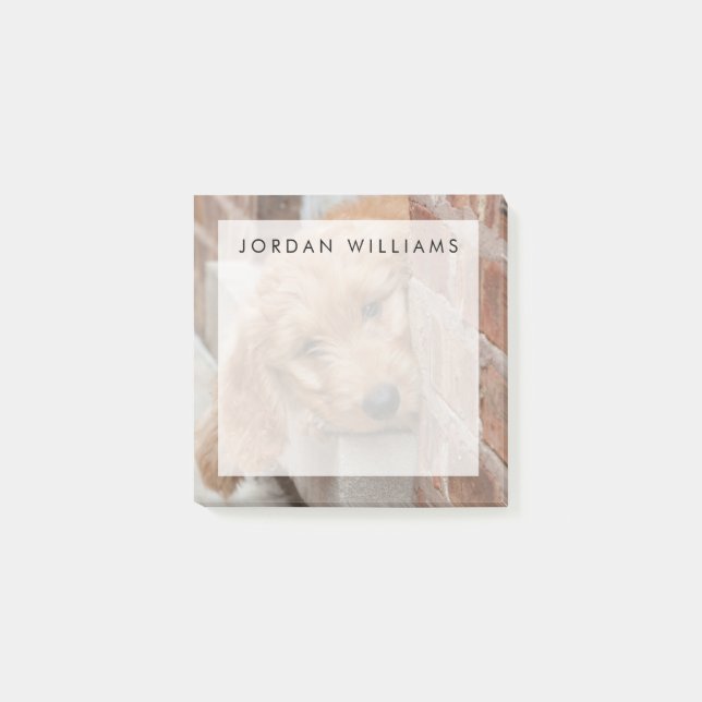 Notas Post-it® Goldendoodle cachorro picado (Anverso)