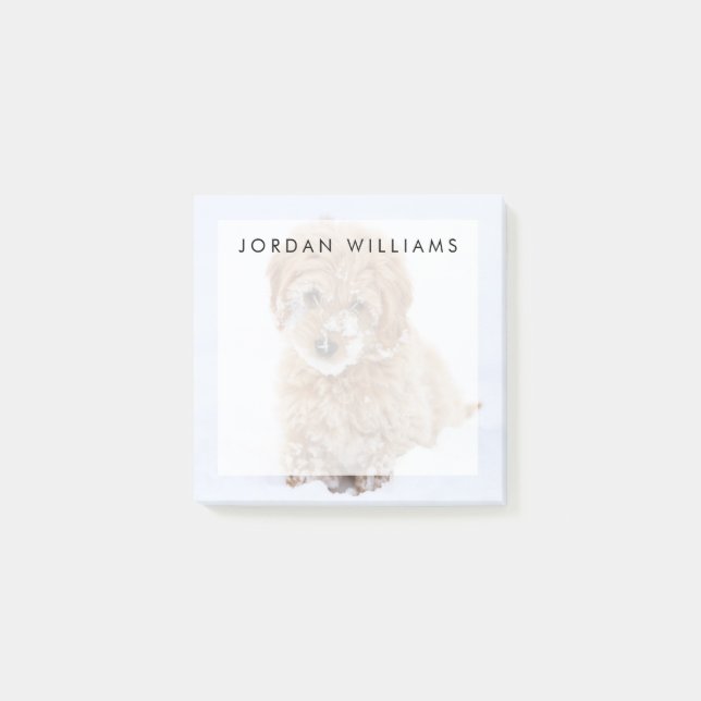 Notas Post-it® Goldendoodle Puppy Con Nieve En La Cara (Anverso)