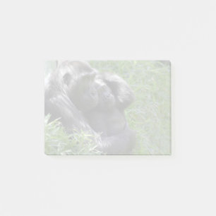 Notas Post-it® Gorilas Kibibi y Moke en el zoológico nacional