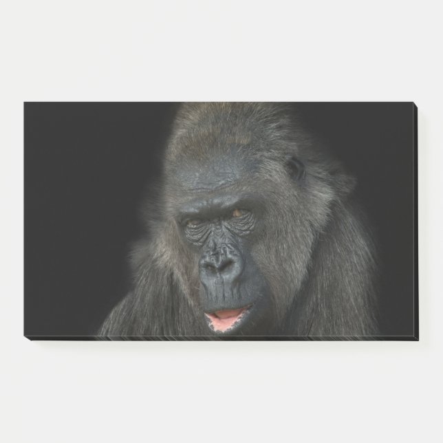 Notas Post-it® Gorilla Biddy (Anverso)