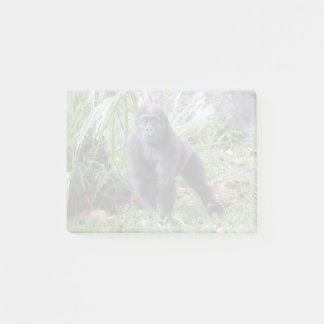 Notas Post-it® Gorilla Moke en el zoológico nacional