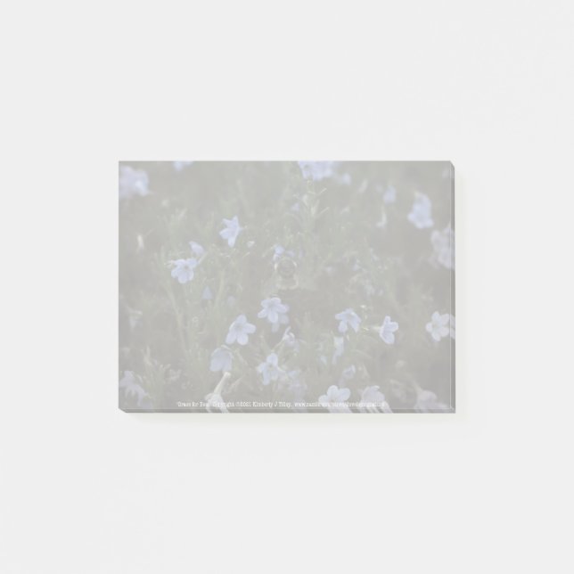 Notas Post-it® Grace for Bees (Anverso)