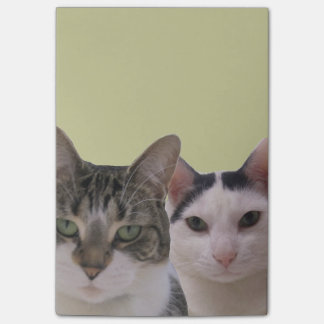 Notas Post-it® Graciosa Pandilla Gata
