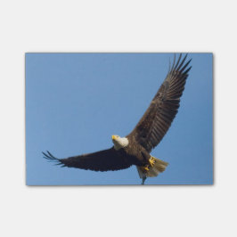 Notas Post-it® Gran Águila