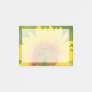 Notas Post-it® Gran campo de girasoles cerca de Moses Lake, WA 1