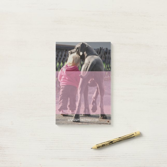 Notas Post-it® Gran Danés (Escritorio)