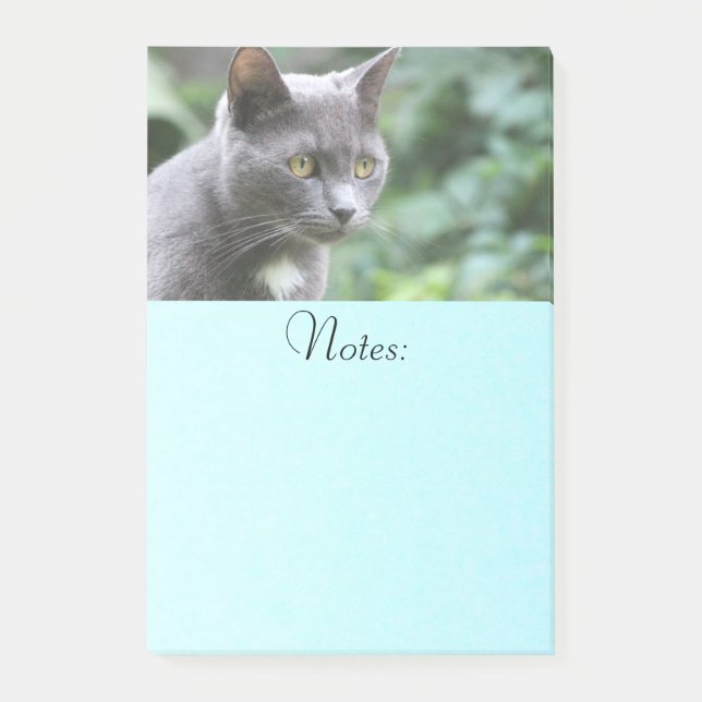 Notas Post-it® Gray Kitty Cat (Anverso)