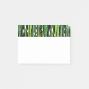 Notas Post-it® Green Bamboo Stalks Nature Photography
