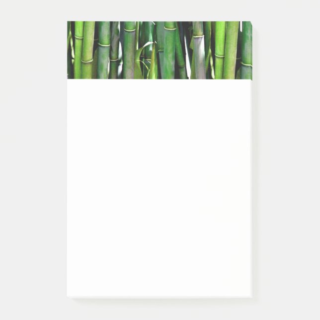 Notas Post-it® Green Bamboo Stalks Nature Photography (Anverso)