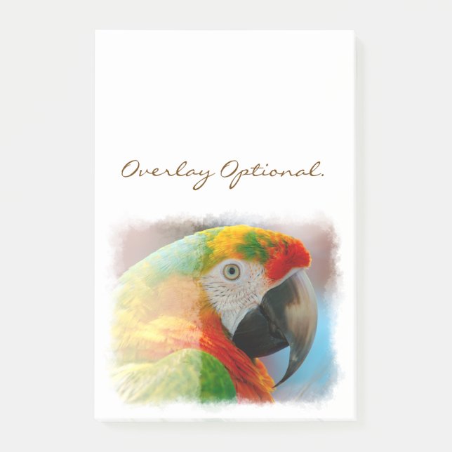 Notas Post-it® Guacamayo 1B (Anverso)