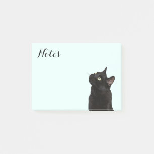 Notas Post-it® Guardabosques el gato negro
