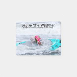Notas Post-it® Habas el Whippet Surfdog