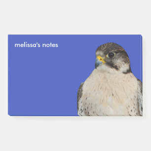 Notas Post-it® Halcón Híbrido Gyrfalcon Saker