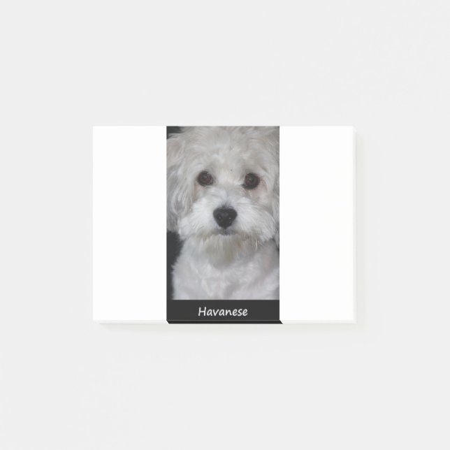 Notas Post-it® Havanese (Anverso)