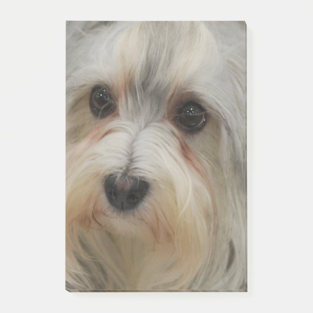 Notas Post-it® Havanese (Anverso)