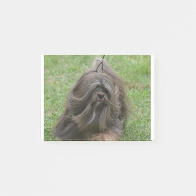 Notas Post-it® Havanese lindo (Anverso)