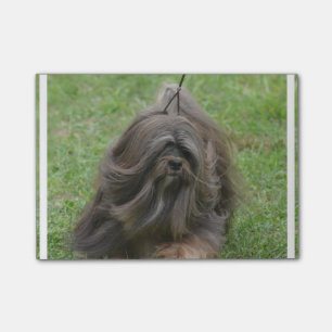 Notas Post-it® Havanese lindo