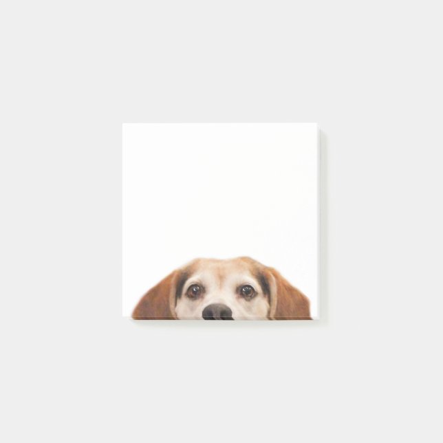 Notas Post-it® Hello Cute Funny Beagle Dog Modern Trendy (Anverso)