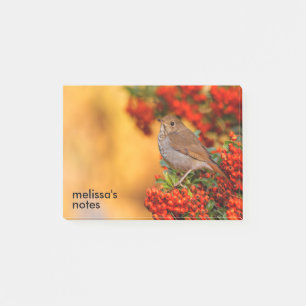Notas Post-it® Hermit Thrush Songbird en el Fuego de Escarlata