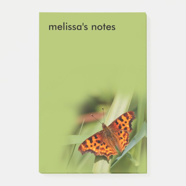 Notas Post-it® Hermosa mariposa Naranja Satyr Comma (Anverso)