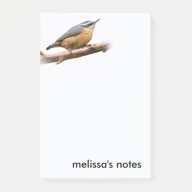 Notas Post-it® Hermosa Nuthatch de pecho rojo en una rama (Anverso)