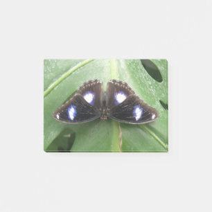 Notas Post-it® Hermosa publicación de mariposa con manchas azules