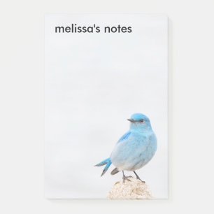 Notas Post-it® Hermoso Bluebird
