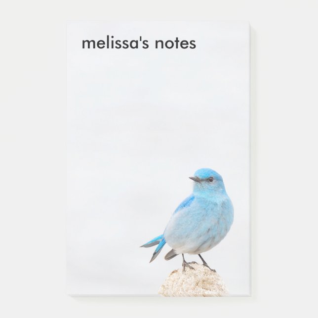 Notas Post-it® Hermoso Bluebird (Anverso)
